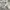 VANS AUTHENTIC WOVEN photo 1