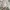 VANS AUTHENTIC WOVEN photo 4