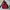 DICKIES DUCK DOWN JACKET photo 1