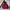 DICKIES DUCK DOWN JACKET
