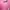 Jaket Pink Fanta photo 4