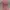 pink dress photo 1