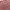 pink dress photo 3