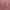 pink dress photo 2