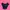Crop Top No Brand