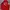Tracktop Puma Arsenal Vintage Big Logo