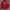 Tracktop Puma Arsenal Vintage Big Logo photo 1