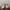ADIDAS YEEZY 500 SUPER MOON YELLOW photo 5