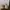 ADIDAS YEEZY 500 SUPER MOON YELLOW photo 3