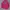 Tracktop Adidas Firebird Big logo photo 2