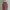 Rok Span Panjang / Rok Pressbody Panjang  / Long Skirt  photo 2