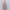 Longdress / Dress Pink  - Sophie Pink Dresses 