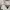 Forever 21 Textured Top White photo 7
