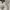 Forever 21 Textured Top White photo 8