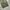Good life work baggy balloon pants photo 5