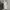 Tas Charles & Keith / CnK Half Moon Crossbody Bag - Ivory photo 1