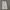 BAGGY JEANS - 8GRAM photo 4