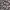 Stradivarius Casual Pleated skirt Wanita multicolor photo 4