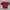 maroon crop top photo 1