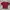 Maroon Crop Top