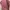 outer pink photo 2