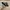 Vans Casual Sneakers Wanita white black photo 4