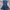 navy blue flower sabrina dress photo 1