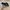 Vans Casual Skater Sneakers Pria white black photo 4
