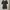 black fitted short jumpsuit photo 3