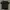 Tshirt basic dickies photo 1
