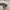 Adidas Casual Sneakers Pria gray photo 6