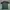 Jersey Home Venezia 2024/2025