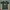 Jersey Home Venezia 2024/2025
