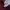Adidas Trefoil Crewneck Maroon DM7835 Sweatshirt photo 8