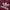 Adidas Trefoil Crewneck Maroon DM7835 Sweatshirt photo 4