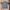 Global work open collar shirt photo 1