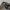 Stussy cargo shortpant photo 5