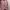 Atasan Wanita Bahan Knit Warna Pink Merk Gonegani