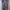 Daster Rayon  photo 1