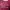 Crop Maroon Cat
