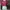 Crop maroon cat photo 1