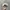 Topi Converse Casual Unstructured Cap Adjustable OSFA Second photo 6