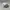 Topi Broxton Snapback Twotone Trucker Hat Adjustable OSFA Se photo 4