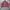 VTG Carhartt Detroit Jacket WJ097 VRS Salmon photo 3