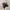 Topi 5 Panel DNINE Reserve Full AOP Art Romawi “MADE IN USA” photo 2