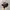 Topi 5 Panel DNINE Reserve Full AOP Art Romawi “MADE IN USA” photo 3