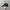 Topi Timberland Ripped Unstructured Cap Adjustable OSFA Seco photo 4