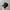 Topi Timberland Ripped Unstructured Cap Adjustable OSFA Seco photo 2