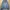 Jaket Gunung Millet Waterproof Outdoor Adventure Pria Biru photo 1