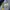 Jaket Gunung Millet Waterproof Outdoor Adventure Pria Biru photo 5